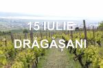 15 iulie | Vizite la crame si picnic in Podgoria Dragasani